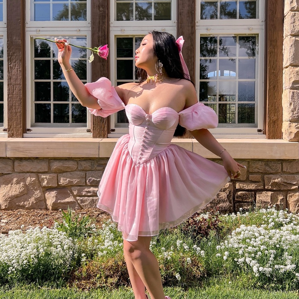 Adeirlina Elegant Pink Puff Sleeve Dress